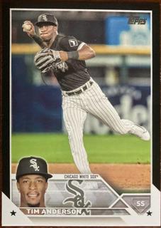 Tim Anderson