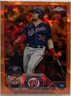Luke Voit