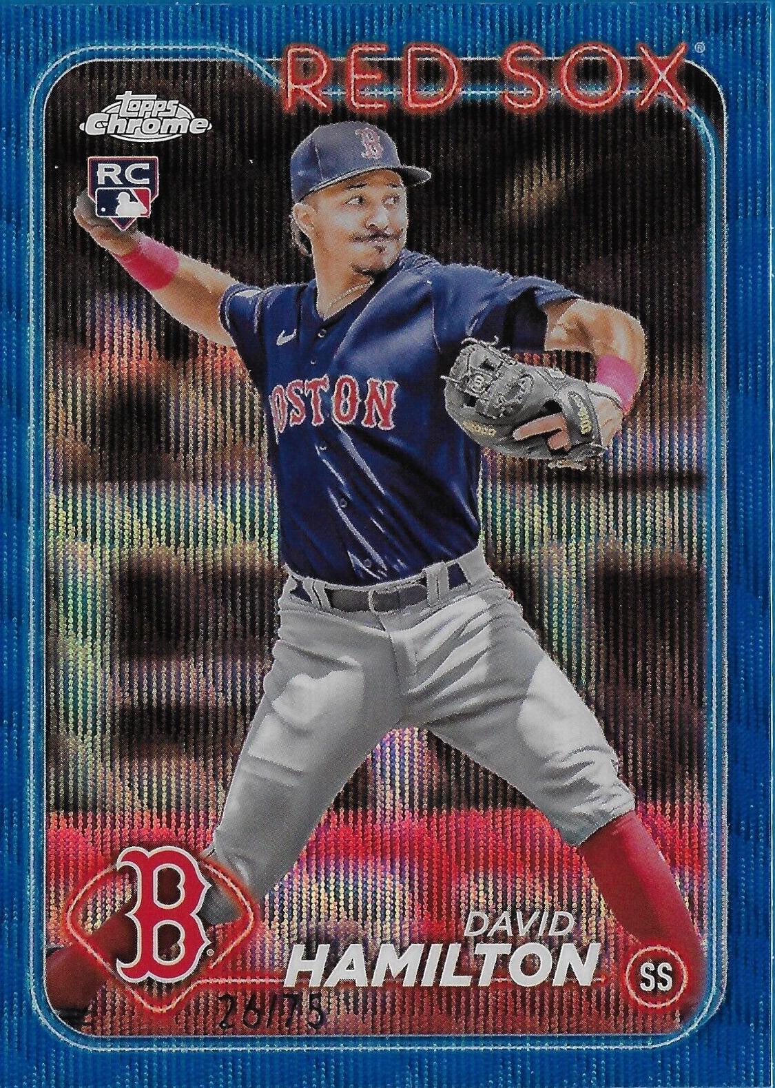 David Hamilton [Blue Wave Refractor] #49