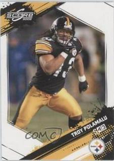 Troy Polamalu