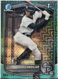 Ashly Andujar