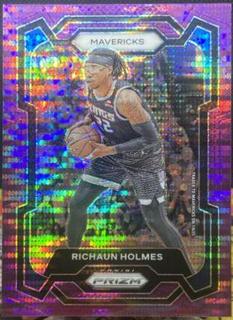 Richaun Holmes