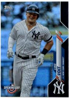 Luke Voit