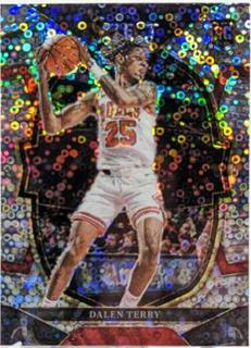 Dalen Terry