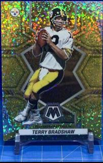 Terry Bradshaw