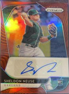 Sheldon Neuse