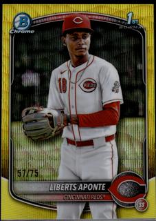 Liberts Aponte