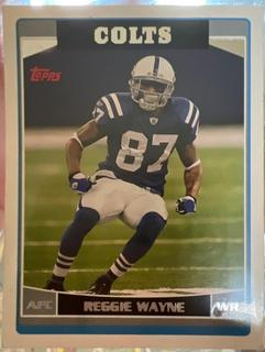 Reggie Wayne
