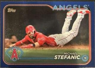 Michael Stefanic