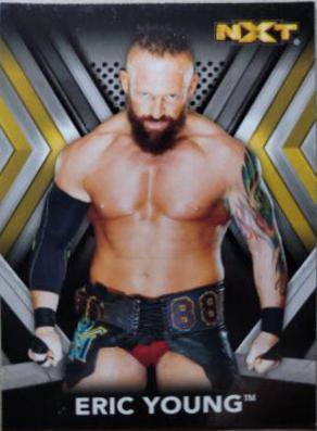 Eric Young #13 Wrestling Cards 2017 Topps WWE NXT