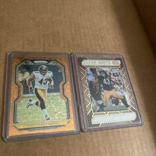Troy Polamalu
