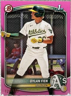 Dylan Fien