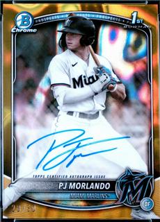 PJ Morlando