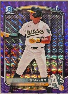 Dylan Fien