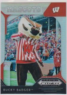 Bucky Badger