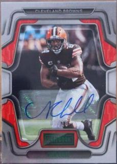 Nick Chubb