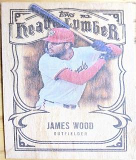 James Wood