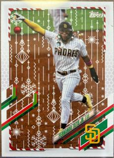 Fernando Tatis Jr.