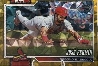 Jose Fermin