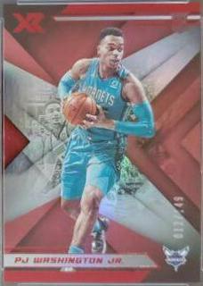 PJ Washington Jr.
