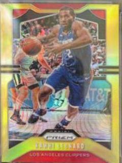 Kawhi Leonard