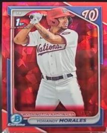 Yohandy Morales