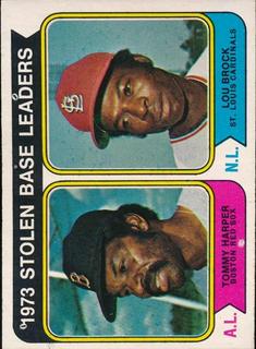 Stolen Base Leaders