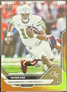 Haynes King