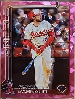 Travis d'Arnaud