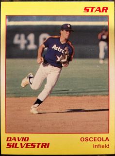 David Silvestri