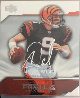 Carson Palmer