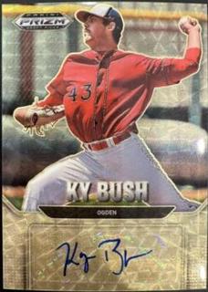 Ky Bush
