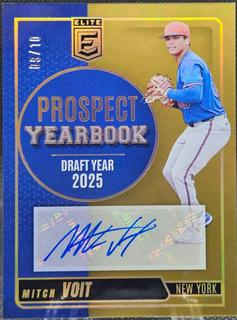 Mitch Voit