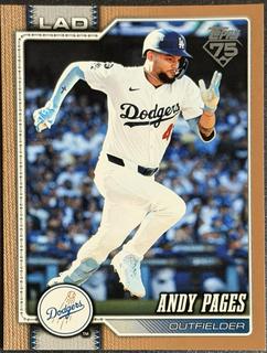Andy Pages