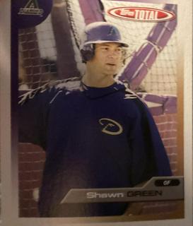 Shawn Green