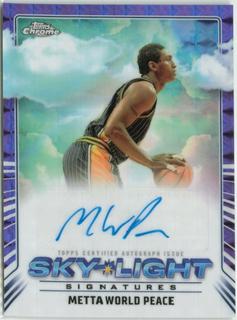 Metta World Peace