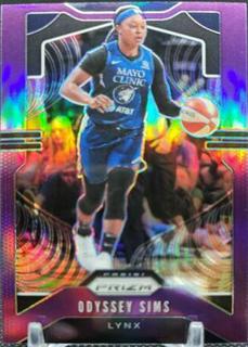 Odyssey Sims