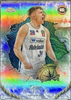 Dejan Vasiljevic