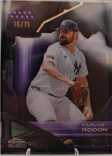 Carlos Rodon