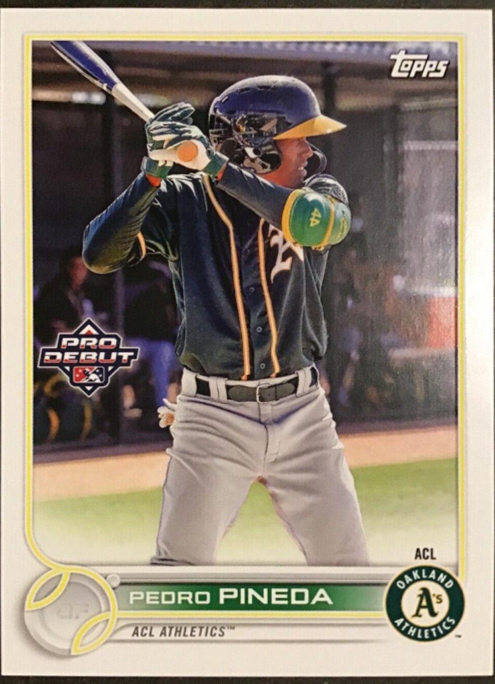 Pedro Pineda #PD-49 Baseball Cards 2022 Topps Pro Debut