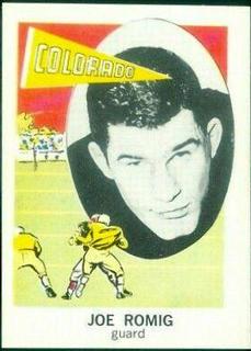 Joe Romig