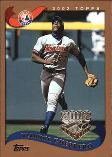 Vladimir Guerrero