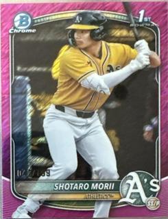 Shotaro Morii