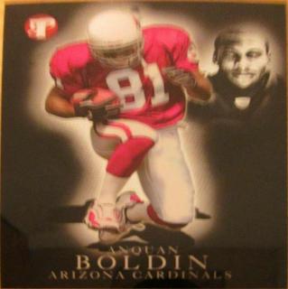 Anquan Boldin