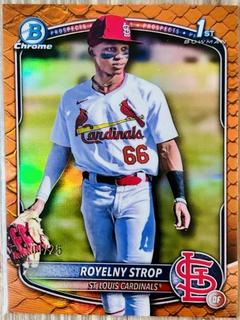 Royelny Strop