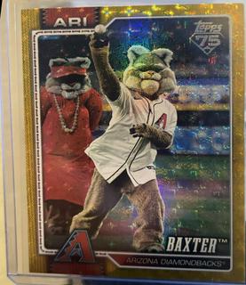 Baxter Arizona Diamondbacks