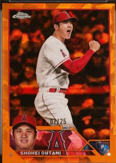 Shohei Ohtani