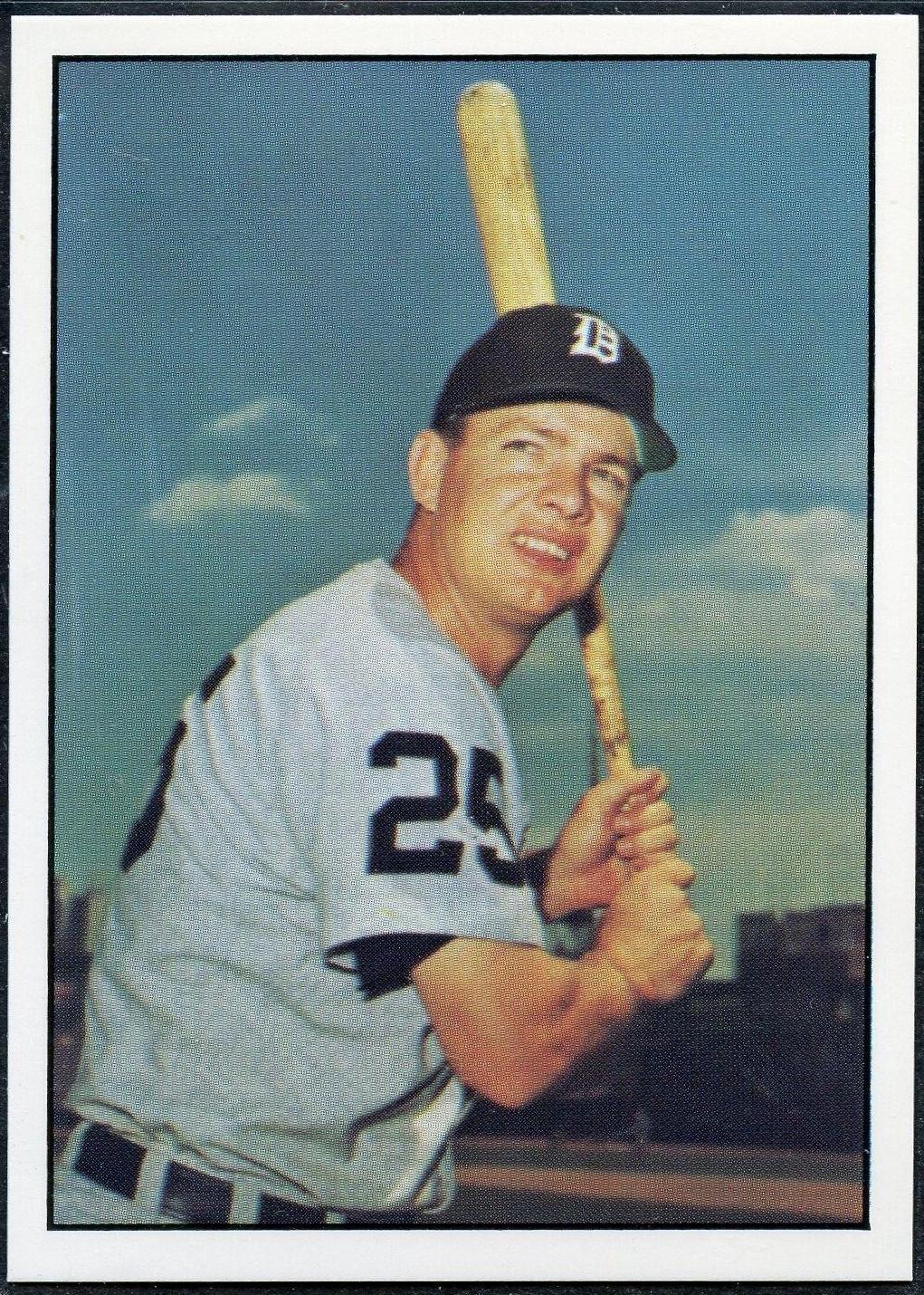 Norm Cash #49 Baseball Cards 1978 TCMA the 1960's