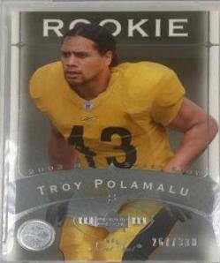Troy Polamalu