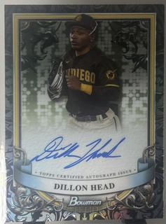 Dillon Head